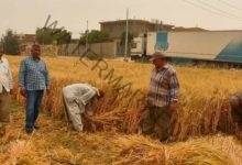 وزير الزراعة يتابع حصاد القمح في بعض محافظات الجمهورية وتشجيعهم على توريد المحصول