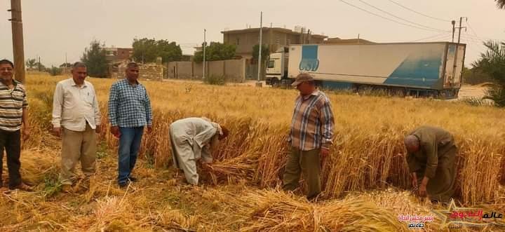 وزير الزراعة يتابع حصاد القمح في بعض محافظات الجمهورية وتشجيعهم على توريد المحصول