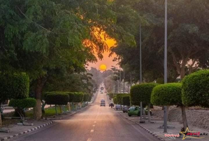 تكثيف أعمال النظافة ورفع الأتربه و استكمال أعمال الإنارة والكهرباء بمركز ومدينه القنطرة شرق