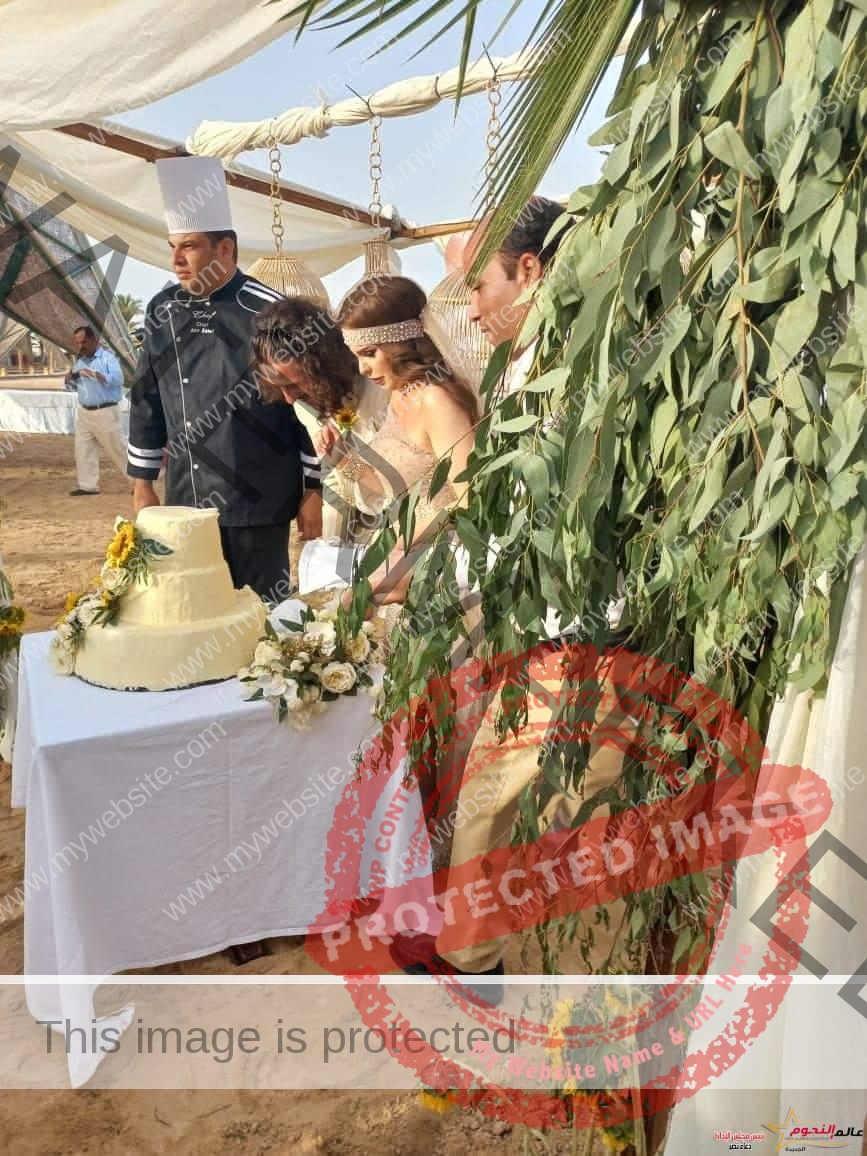 حفل زفاف دنيا عبد العزيز في نويبع بحضور عدد من الفنانين