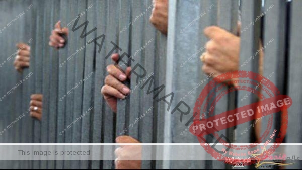نيابة الجيزة: حبس المتهمين بالاعتداء بالضرب على جامع قمامة 