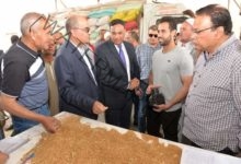مختار: الدقهلية تعد من أولى المحافظات في إنتاج القمح المحلي وهى سلة مصر في إنتاج المحاصيل الزراعية