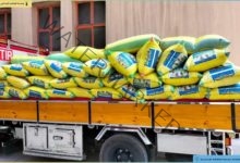 محافظ الإسكندرية يؤكد جهود الدولة لتوفير مخزون استراتيجي آمن من القمح