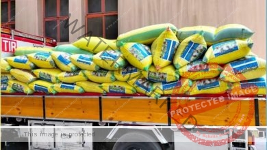 محافظ الإسكندرية يؤكد جهود الدولة لتوفير مخزون استراتيجي آمن من القمح