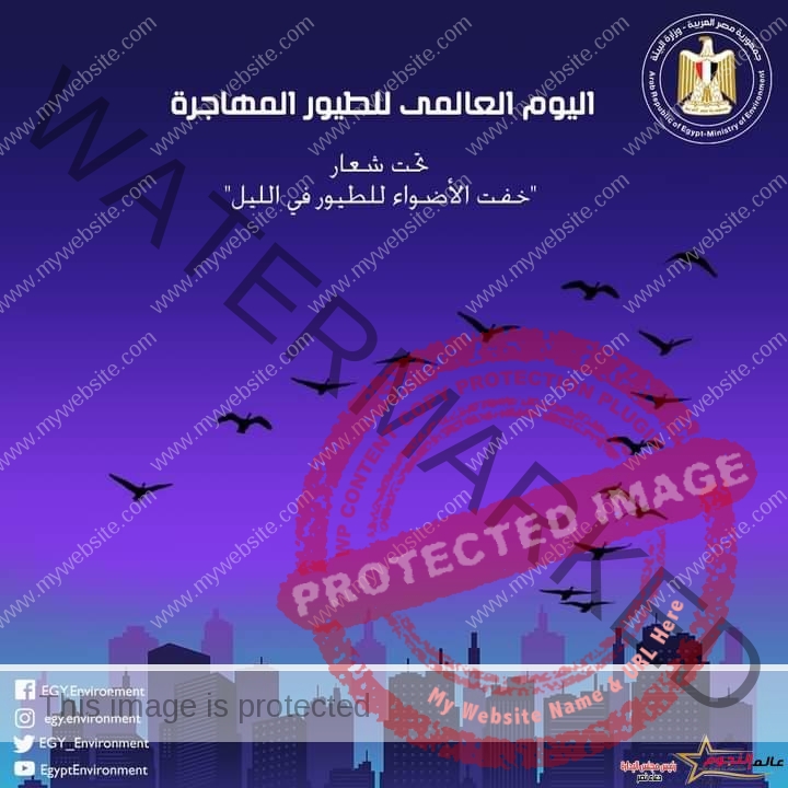 مصر تشارك العالم الاحتفال باليوم العالمى للطيور المهاجرة