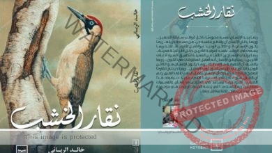 إطلاق كتاب نقار الخشب للكاتب خالد الرياني علي منصة كتبنا