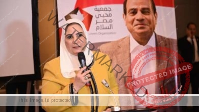 القباج تشارك في مؤتمر "مقومات الحوار الوطني" للاتحاد العام للمصريين في الخارج 