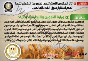 الحكومة تنفي شائعة تأثر المخزون الاستراتيجي لمصر من الأقماح نتيجة لعدم استقرار سوق الغذاء العالمي