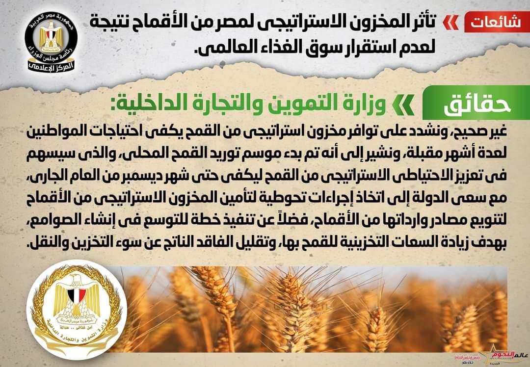 الحكومة تنفي شائعة تأثر المخزون الاستراتيجي لمصر من الأقماح نتيجة لعدم استقرار سوق الغذاء العالمي