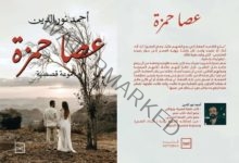 إطلاق كتاب عصا حمزة للكاتب أحمد نور الدين على منصة كتبنا