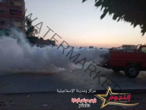 سيارات الوحدات المحلية تجوب أنحاء محافظة الإسماعيلية لمكافحة البعوض والذباب