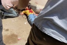 طالب جامعي يذبح زميلته أمام كلية الآداب بجامعة المنصورة