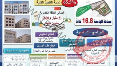 عبد الغفار  يستعرض تقريرًا حول تطور معدلات الأداء بجامعة حلوان الأهلية