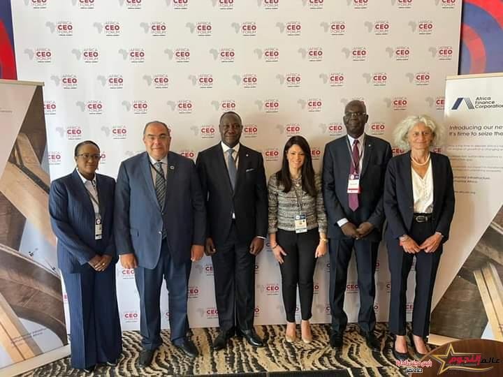 المشاط تشارك في إطلاق تقرير مؤسسة التمويل الأفريقية AFC حول الطريق إلى مؤتمر المناخ COP27 والتحول الأخضر في القارة