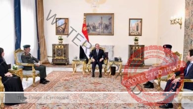 السيسي يستقبل رئيس القوات المسلحة الإماراتية وسفيرة دولة الإمارات بالقاهرة