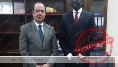 السفير المصري في جوبا يلتقي وزير البترول الجنوب سوداني
