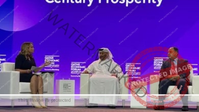وزير المالية.. خلال مشاركته بمنتدى قطر الاقتصادى
