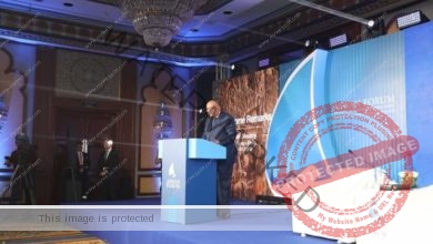 وزير الخارجية يُشارك في النسخة الثالثة من منتدى أسوان للسلام والتنمية المستدامين