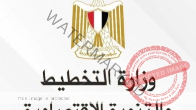 وزارة التخطيط والتنمية الاقتصادية تستعرض حصاد 8 سنوات من تحسين مستوى معيشة المواطن المصري (يوليو 2014- يونيو 2022)