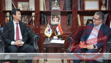 العناني يلتقي سفير كوريا الجنوبية بالقاهرة لبحث سبل التعاون المشترك بين البلدين