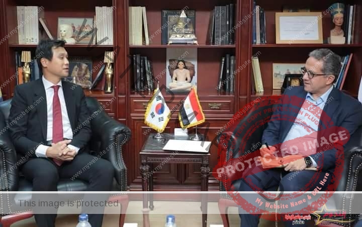 العناني يلتقي سفير كوريا الجنوبية بالقاهرة لبحث سبل التعاون المشترك بين البلدين