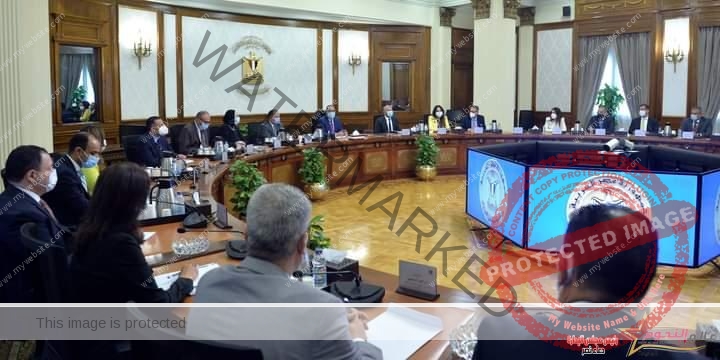 مدبولي: الحكومة تولى أهمية كبيرة لتنمية وتوطين صناعة السيارات فى مصر