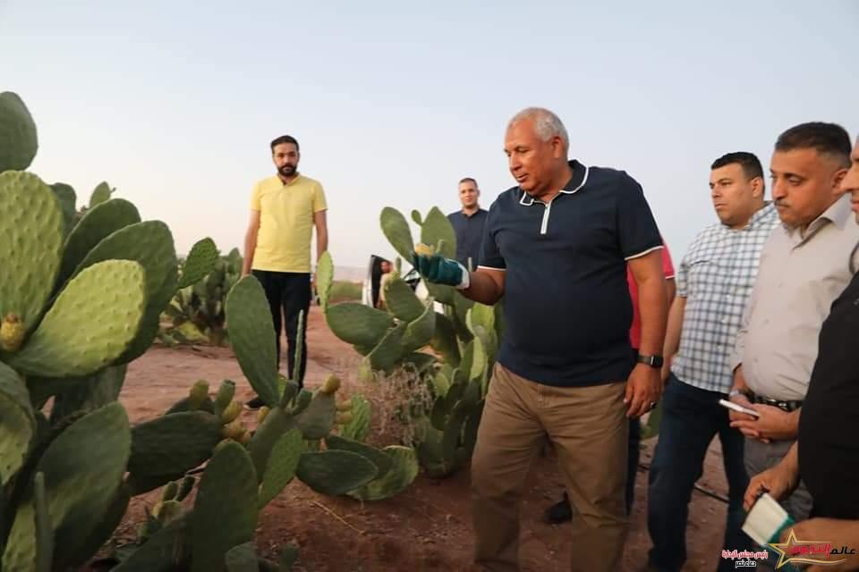 محافظ الوادي الجديد يتفقد أول مشروع لإنتاج التين الشوكي بالمحافظة