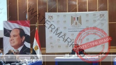شاكر يترأس الجمعية العمومية للشركة القابضة لكهرباء مصر 