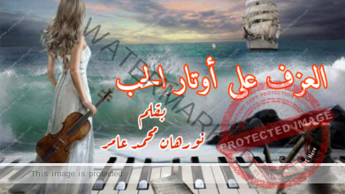 العزف على أوتار الحب … بقلم : نورهان محمد عامر