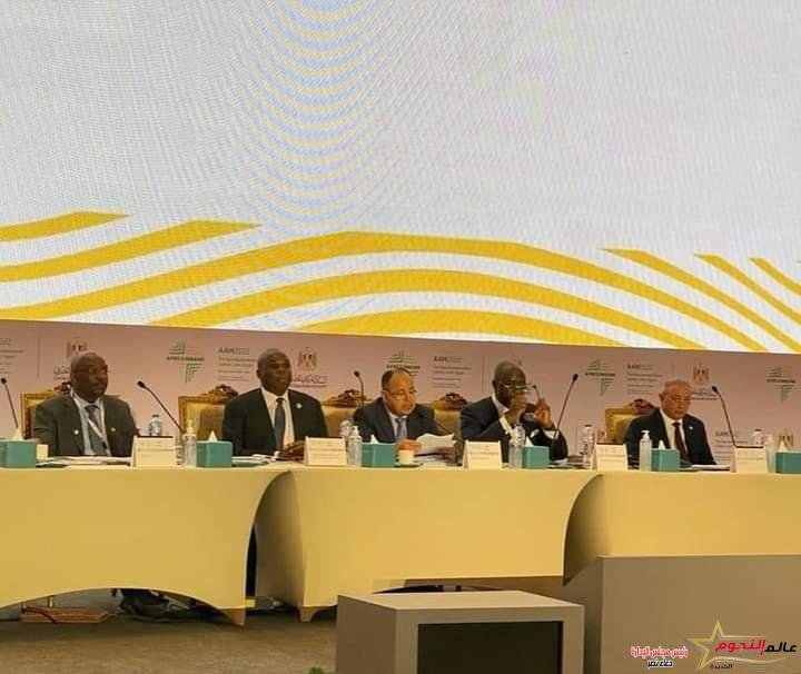 معيط: التوسع في الإنتاج الزراعى والصناعي.. لتعظيم قدرات الاقتصادات الأفريقية