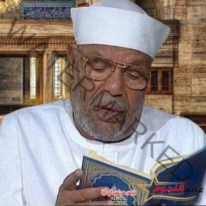 في ذكرى رحيل الشيخ الشعراوي الـ 24 إمام الدعاة ومجدد العصر ومحطات بارزة من حياته