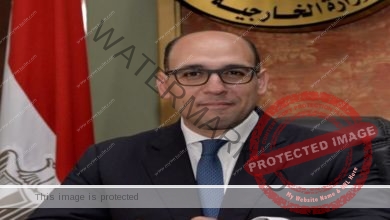 السفير أحمد حافظ يؤكد على ترحيب مصر بمخرجات الجولة الثالثة لأعمال المسار الدستوري الليبي