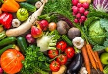 أستقرار أسعار الخضروات في سوق العبور.. اليوم الخميس 14 يوليو 2022 