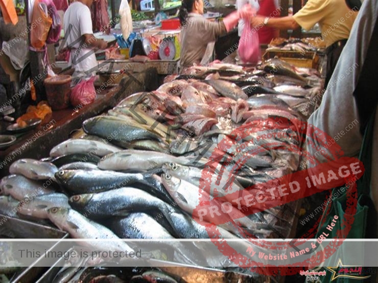 أستقرار أسعار الأسماك فى سوق العبور اليوم الإثنين