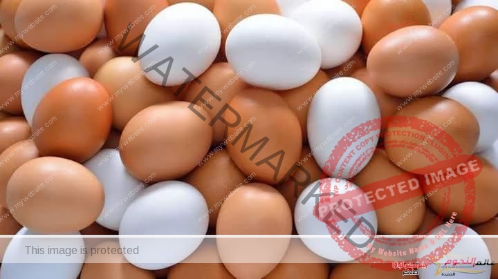 أرتفاع طفيف في أسعار البيض الجمعة 1 يوليو