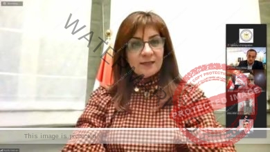 مكرم تلتقي ممثلي كيانات مصرية بالخارج.. أستعدادا لعقد المؤتمر الثالث للكيانات