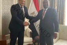 السفير المصري في ليلونجوي يستضيف أجتماع مجموعة السفراء الأفارقة ويلتقي وزير الطاقة المالاوي