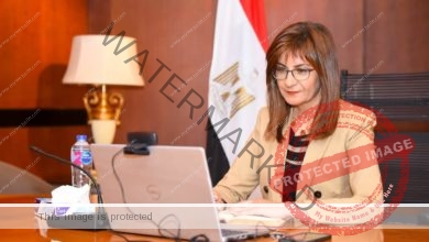 وزيرة الهجرة تلتقي عددًا من ممثلي الجاليات والكيانات المصرية بالخارج استعدادا للمؤتمر الثالث للكيانات بأغسطس المقبل
