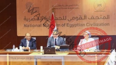 العناني ووزيرا التنمية والبيئة يواصلون مناقشة استعدادات استضافة مصر لمؤتمر الأطراف السابع والعشرين