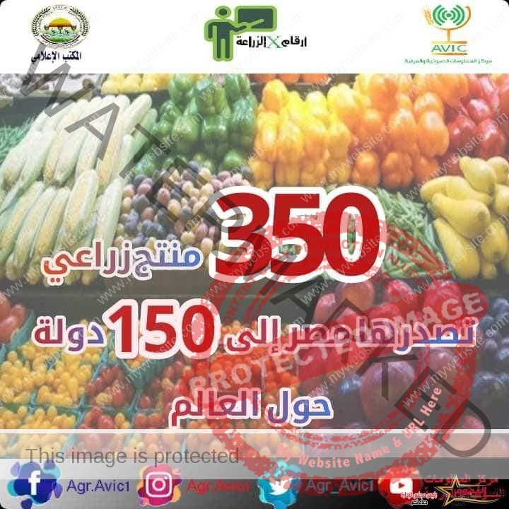 "أرقام X الزراعة" تعرف على عدد المنتجات الزراعية التي تصدرها مصر الى الخارج