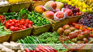 أستقرار أسعار الخضروات في سوق العبور.. اليوم ثاني أيام العيد