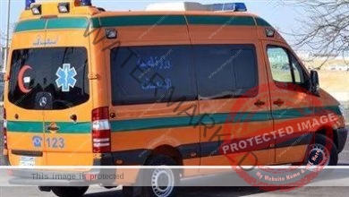 مصرع شخصان و أصابة 8 آخرون في حادث انقلاب ميكروباص على طريق أسوان