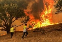 عاجل … إخماد غالبية الحرائق الجزائرية … ووفااة 38 شخصا تقريبا على الأقل