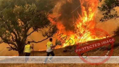 عاجل … إخماد غالبية الحرائق الجزائرية … ووفااة 38 شخصا تقريبا على الأقل