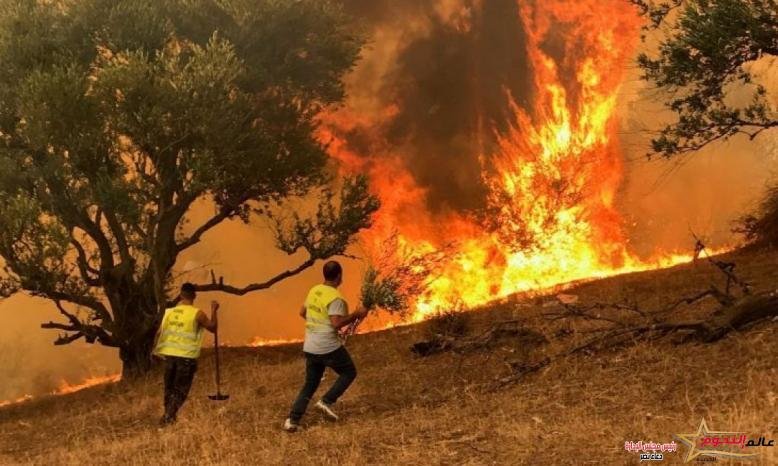 عاجل … إخماد غالبية الحرائق الجزائرية … ووفااة 38 شخصا تقريبا على الأقل