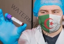 الجزائر تسجل 142 إصابة جديدة بفيروس كورونا خلال الـ 24 ساعة الماضية