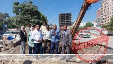 "السكرتير العام" و"المساعد" يتفقدان أعمال الرصف والتجميل بشارع بطل السلام بمدينة الفيوم