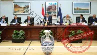 العناني: يترأس مجلس إدارة المجلس الأعلى للآثار في تشكيله الجديد