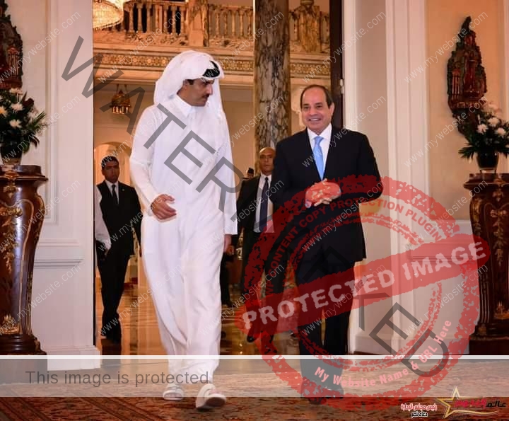 السيسي يتلقى اتصالاً هاتفياً من سمو الأمير تميم بن حمد آل ثاني