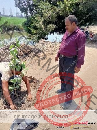 محافظة الشرقية : تتسابق لتتجمل وتتزين بزراعة 100 مليون شجرة للحفاظ على بيئة نظيفة وهواء نقي للمواطنين